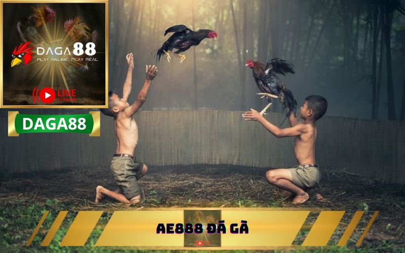 AE888 ĐÁ GÀ KHUYẾN MÃI TẠI DAGA88