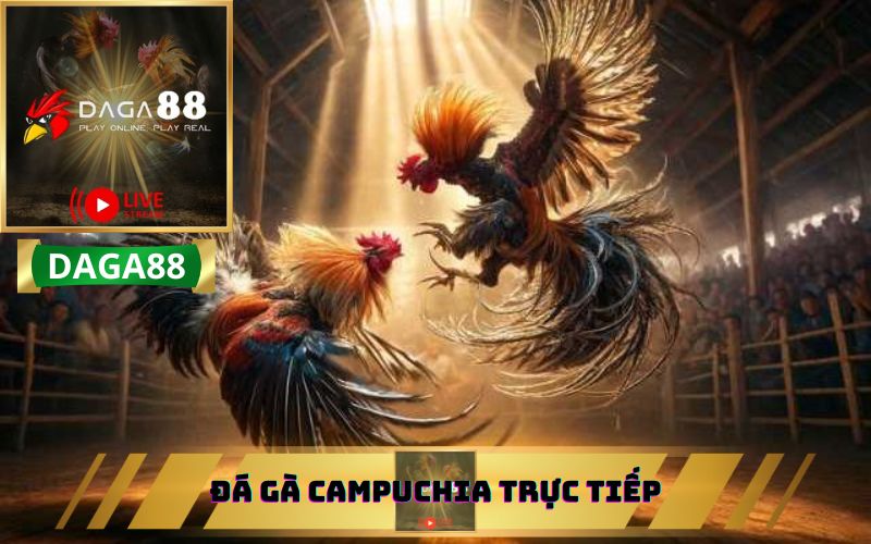 ĐÁ GÀ CAMPUCHIA TRỰC TIẾP TRÊN DAGA88